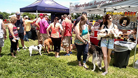 2015 Bark and Brew Fest